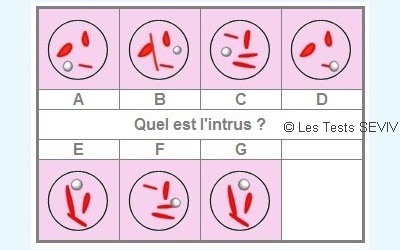 test de qi gratuit